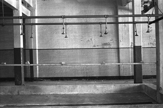 alcatraz_14.jpg
